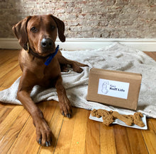 Load image into Gallery viewer, Koa&#39;s Ruff Life, Koa with the dog cookies whcih is part of the gift box. Koa is featured in the royal blue large bow tie that is personalized on the left side.
