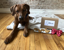 Load image into Gallery viewer, Koa&#39;s Ruff Life, Koa with the dog cookies whcih is part of the gift box. Sailor bow for dogs.

