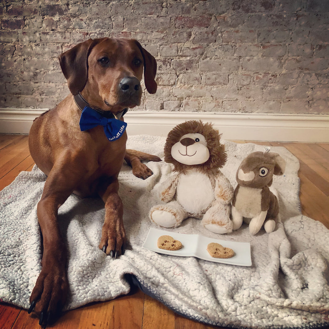 Koa's Ruff Life, Koa with dog heart cookie, organic human ingredients, gluten free, no preservatives. Flavors: peanut butter, cheese, and pumpkin.