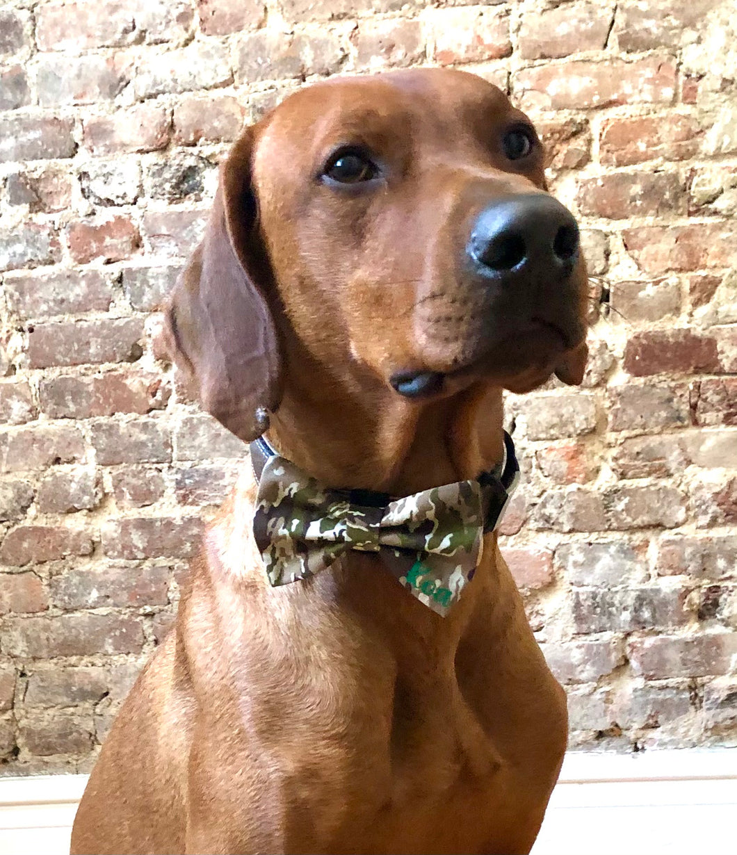 Koa's Ruff Life, Koa in the camouflage military large bow tie. Personalized in green with your pup's name. Perfect for Memorial Day, July 4th, Veteran's day, or a summer BBQ cook out or picnic!