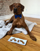 Load image into Gallery viewer, Koa&#39;s Ruff Life, Koa in the personalized navy cosmo blue large bow tie. Personalized with your pup&#39;s name! Mini dog treats in peanut butter, banana, cheese or pumpkin flavors.
