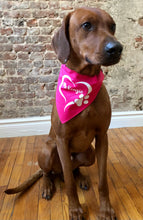 Load image into Gallery viewer, Koa&#39;s Ruff Life, Koa in the perosnalized pink heart paw larg bandana for dogs.
