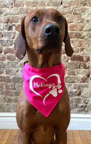 Koa's Ruff Life, Koa in the perosnalized pink heart paw larg bandana for dogs.