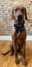Load image into Gallery viewer, Koa&#39;s Ruff Life, Koa in the &quot;made in america&quot; themed sialor bow for dogs, large personalized with pup&#39;s name. Great for the summer, memorial day, july 4th bbq picnic, veteran&#39;s day.
