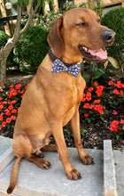 Load image into Gallery viewer, Koa&#39;s Ruff Life, Koa in the large &quot;summer sails&quot; bow tie is for the nautical lover featuring whales, sailboat, anchors and wheels. 
