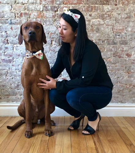 Koa's Ruff Life, Koa is in the New York City Motif large bow tie. Andy is in the matching bow headband.