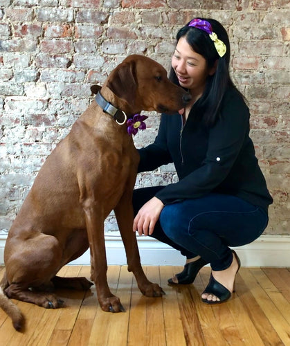 Koa's Ruff Life, Koa in the purple plaid flower for dog collar. Andy in the matching bow headband. This acessory is perfect for spring!